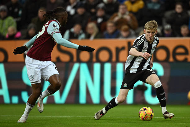 性和批判性 性和批判性