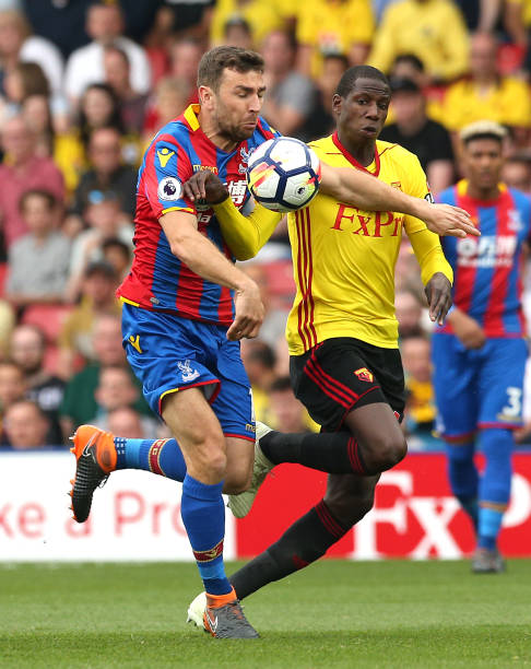 教练和球迷 教练和球迷